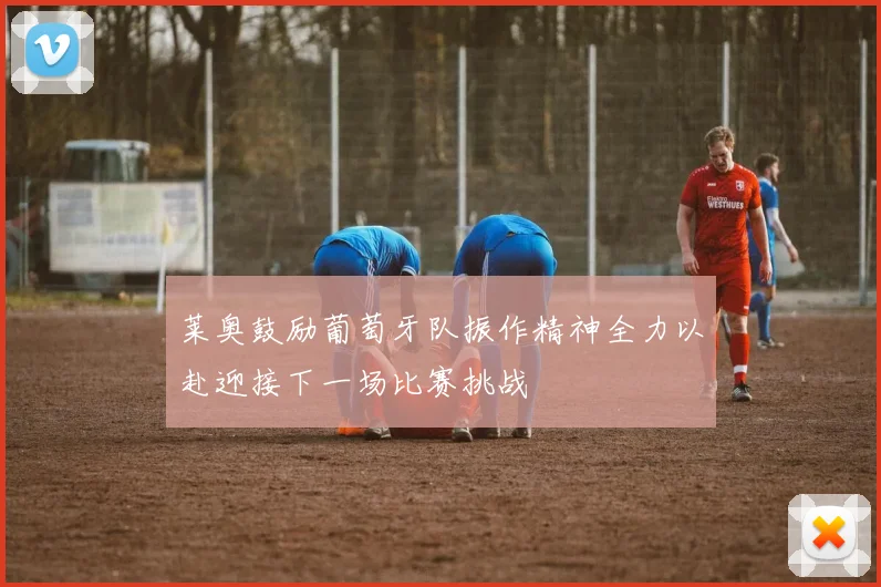 莱奥鼓励葡萄牙队振作精神全力以赴迎接下一场比赛挑战