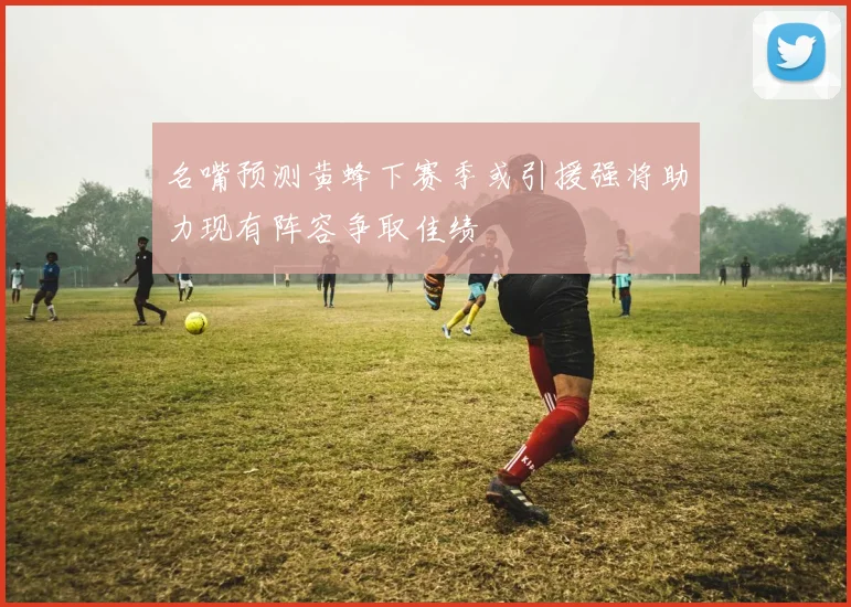 名嘴预测黄蜂下赛季或引援强将助力现有阵容争取佳绩